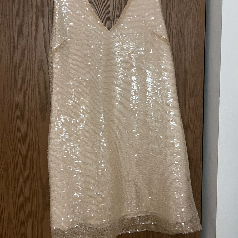 Sparkling Sequin Dress